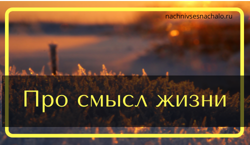 Коротко о смысле жизни. В чем он, как найти